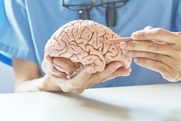 neurology-banner neurology-banner